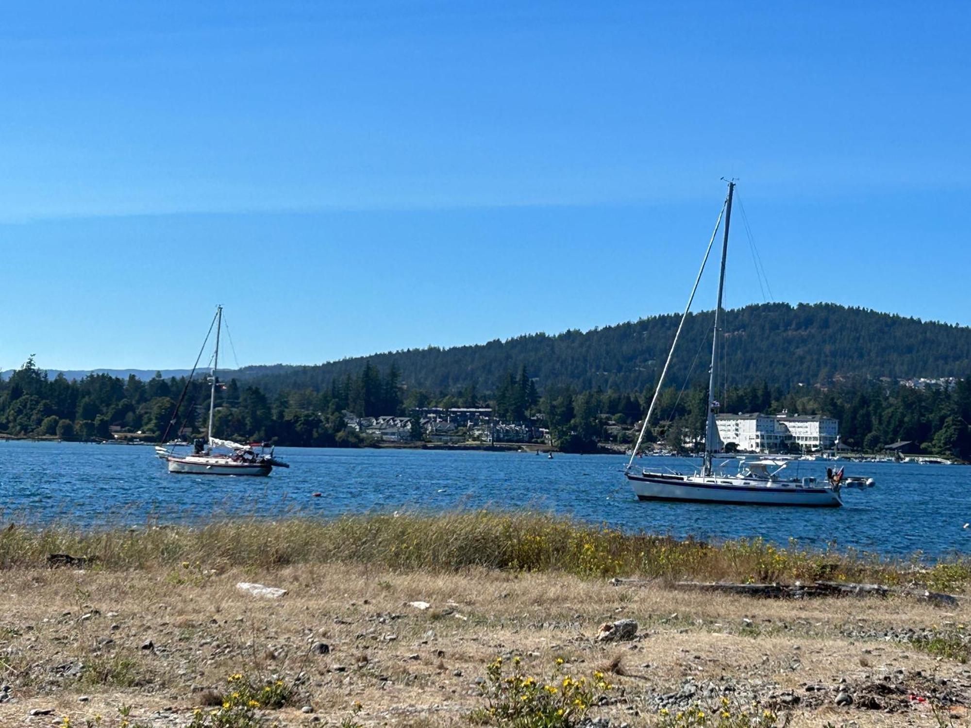 Seagull Studio Vacation Guest Suite Sooke Extérieur photo